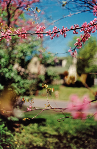 テリ・ワイフェンバック写真展「Certain Days」 - デジカメ Watch