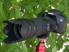 交換レンズ実写ギャラリー：シグマ「APO 70-200mm F2.8 EX DG OS HSM