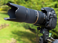 交換レンズ実写ギャラリー：タムロン「SP 70-300mm F4-5.6 Di VC USD