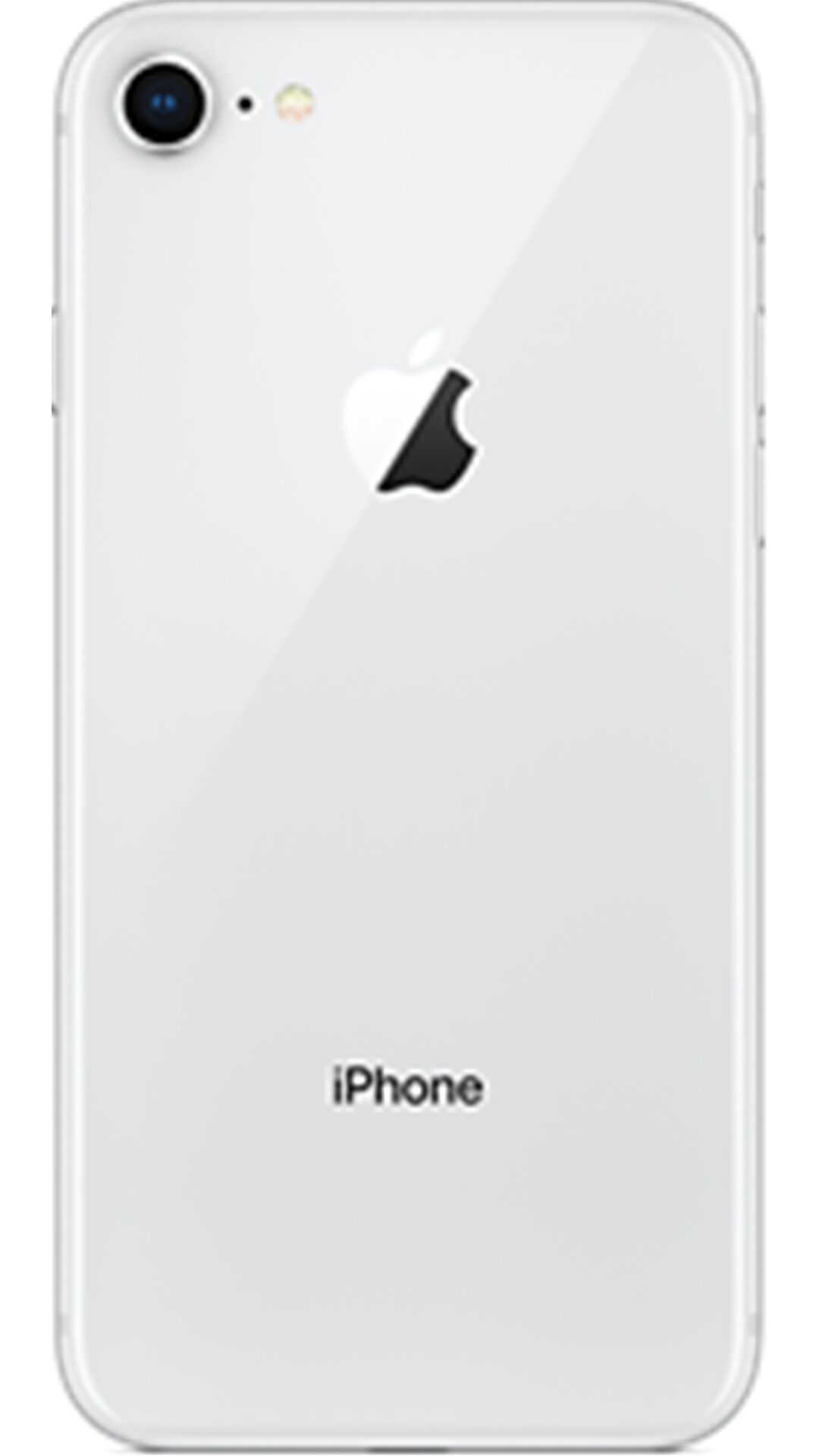 Buy Apple iPhone 8 64 GB (Silver) Online at Low Prices in India