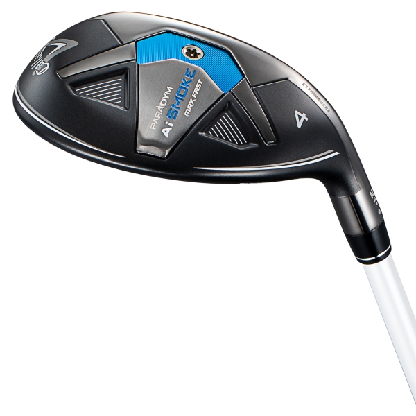 パラダイム Ai スモーク MAX ファスト／PARADYM Ai SMOKE MAX FAST