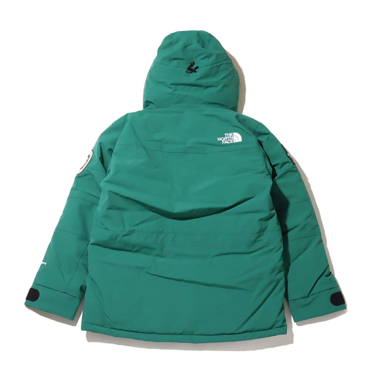 THE NORTH FACE Antarctica Parka TNFグリーン （ザ・ノース・フェイス
