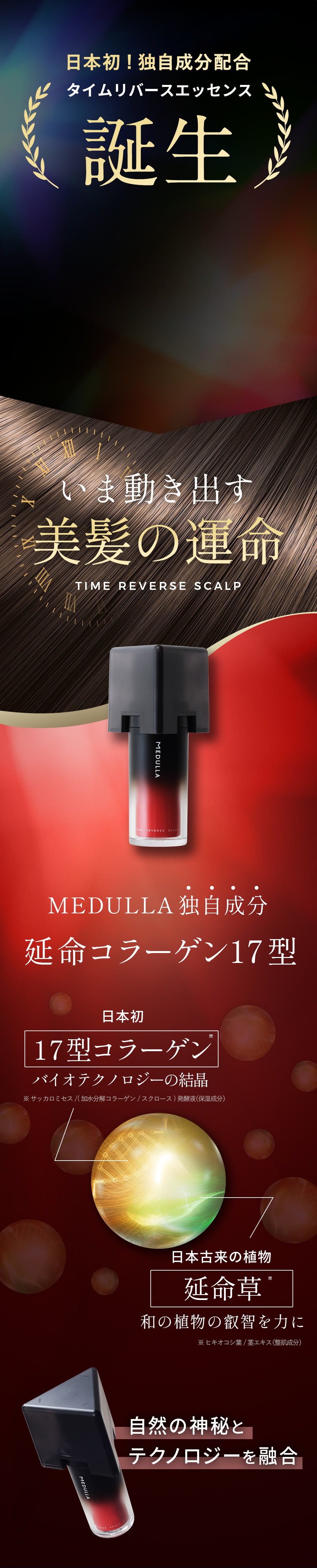 公式】CLUB MEDULLA