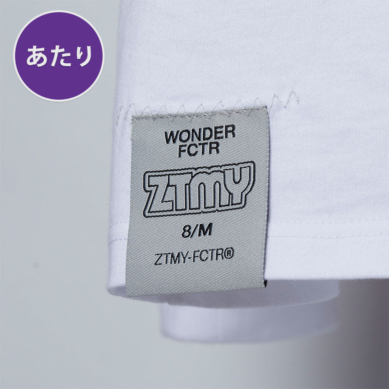 ZTMY FCTRガチャ(当たり付き) - ZUTOMAYO MART