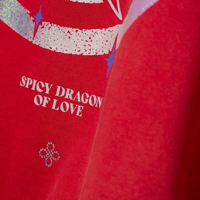 陰陽 Vintage Zipup Hoodie (Red) - ZUTOMAYO MART