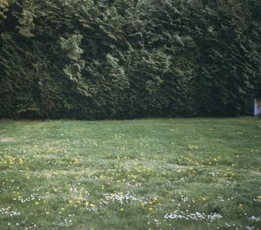 2026年最新】ghosts ミツメの人気アイテム - メルカリ