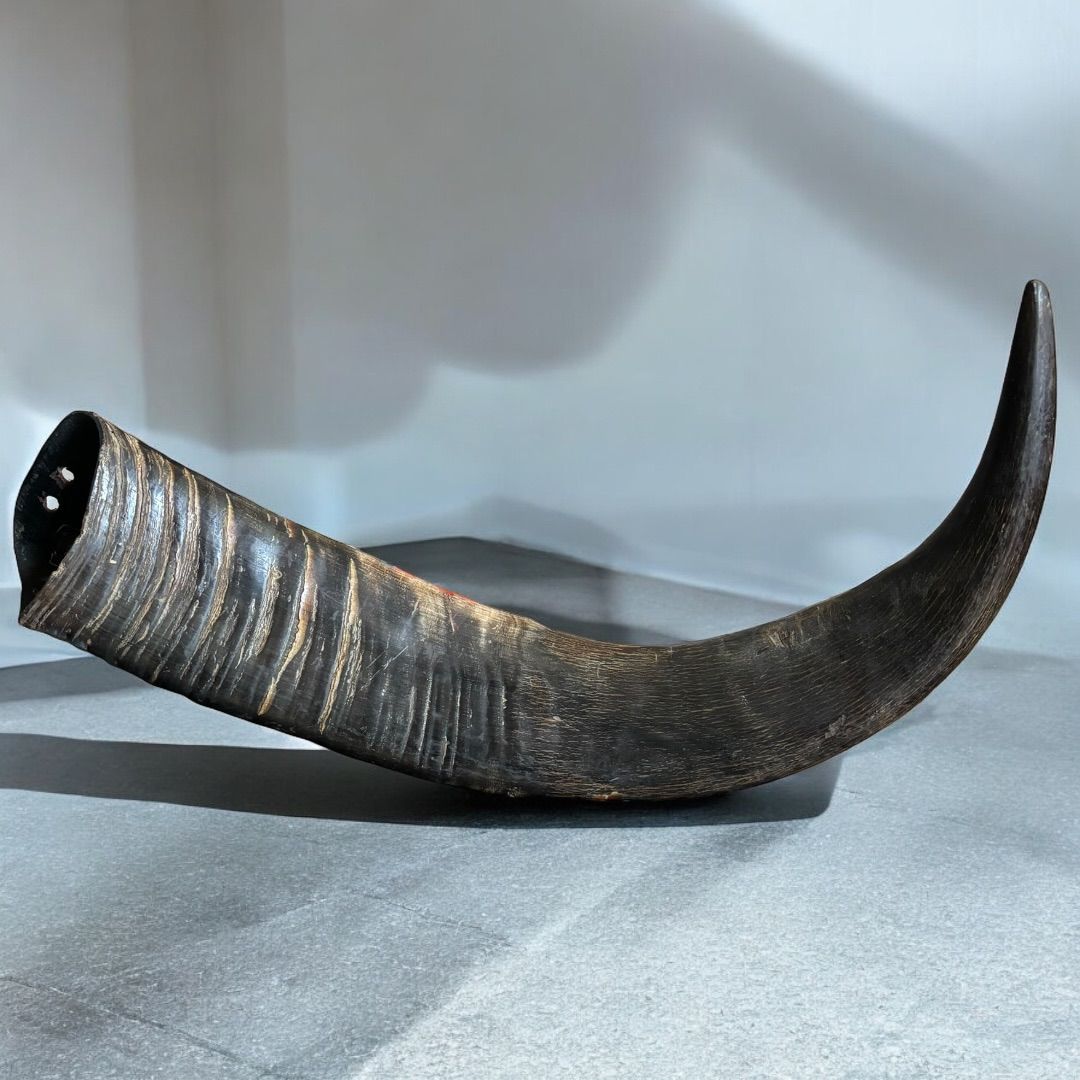 真贋保証 希少 角 オブジェ 水牛 インテリア 雑貨 花瓶 - メルカリ