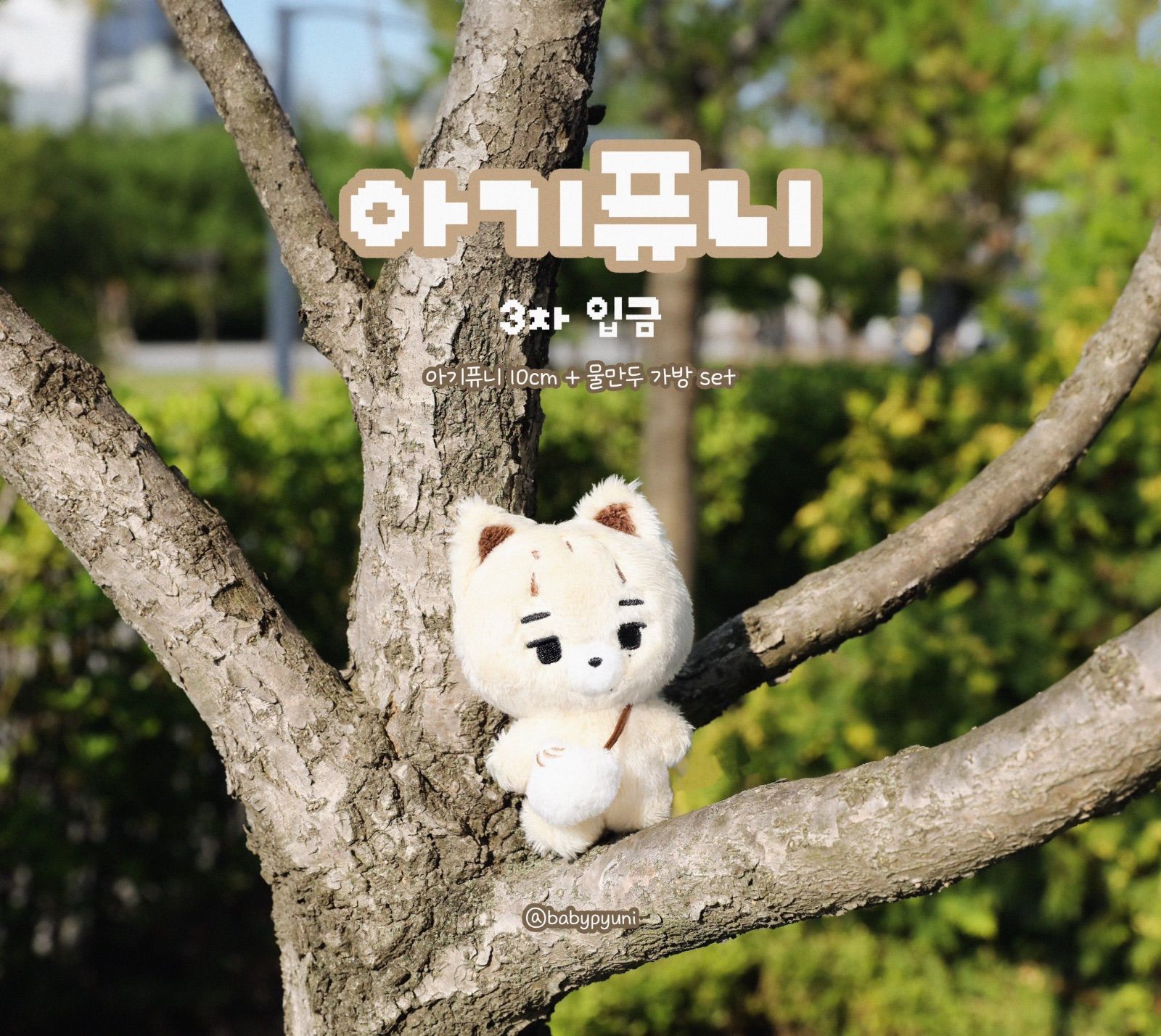 ENHYPEN ニキ ぬいぐるみ 10cm マスター 아기퓨니 ピューマ - メルカリ