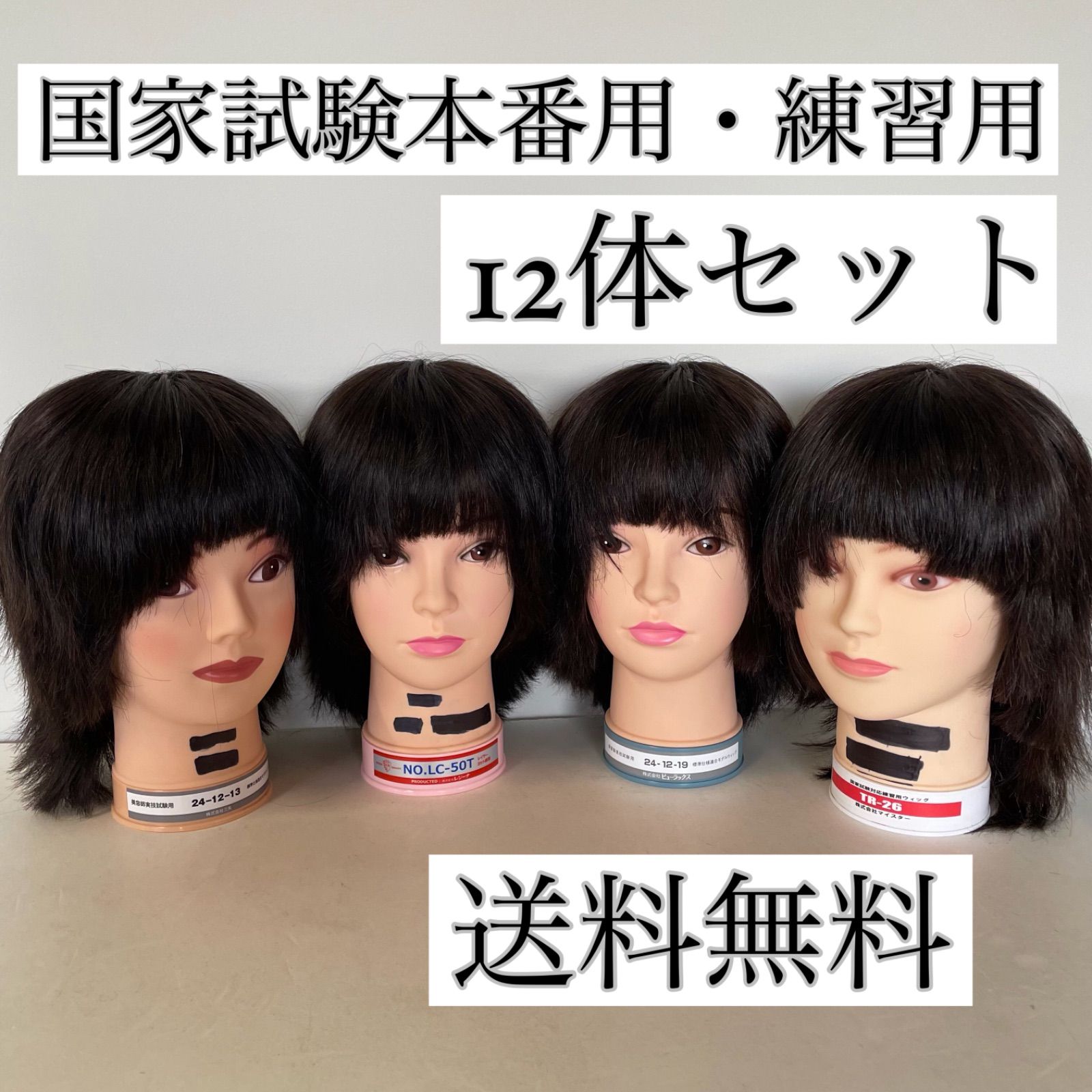 国家試験中古カットウィッグ12体セット カットマネキン 匿名配送