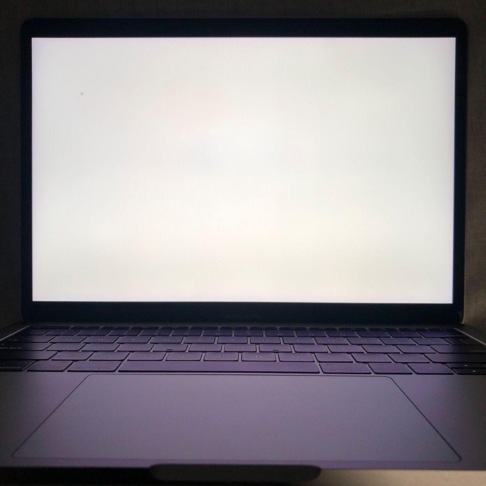 ◇ジャンク品・本体のみ◇Apple MacBook Pro (13-inch, 2017