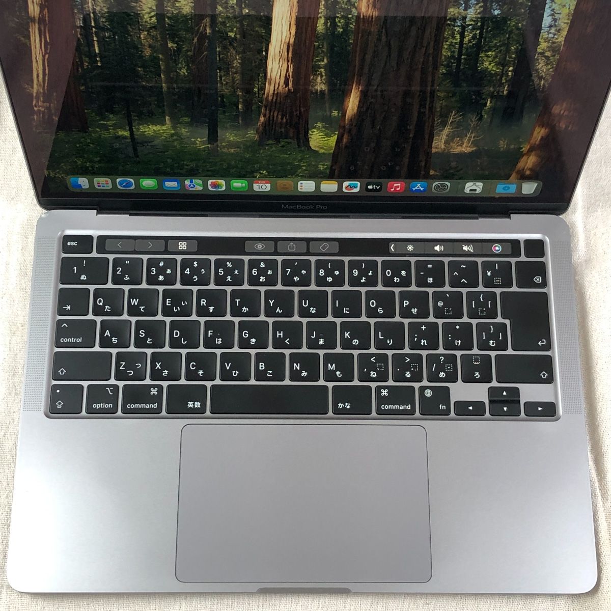 ◇ジャンク品・本体のみ◇Apple MacBook Pro (13インチ M2 2022) 【M2