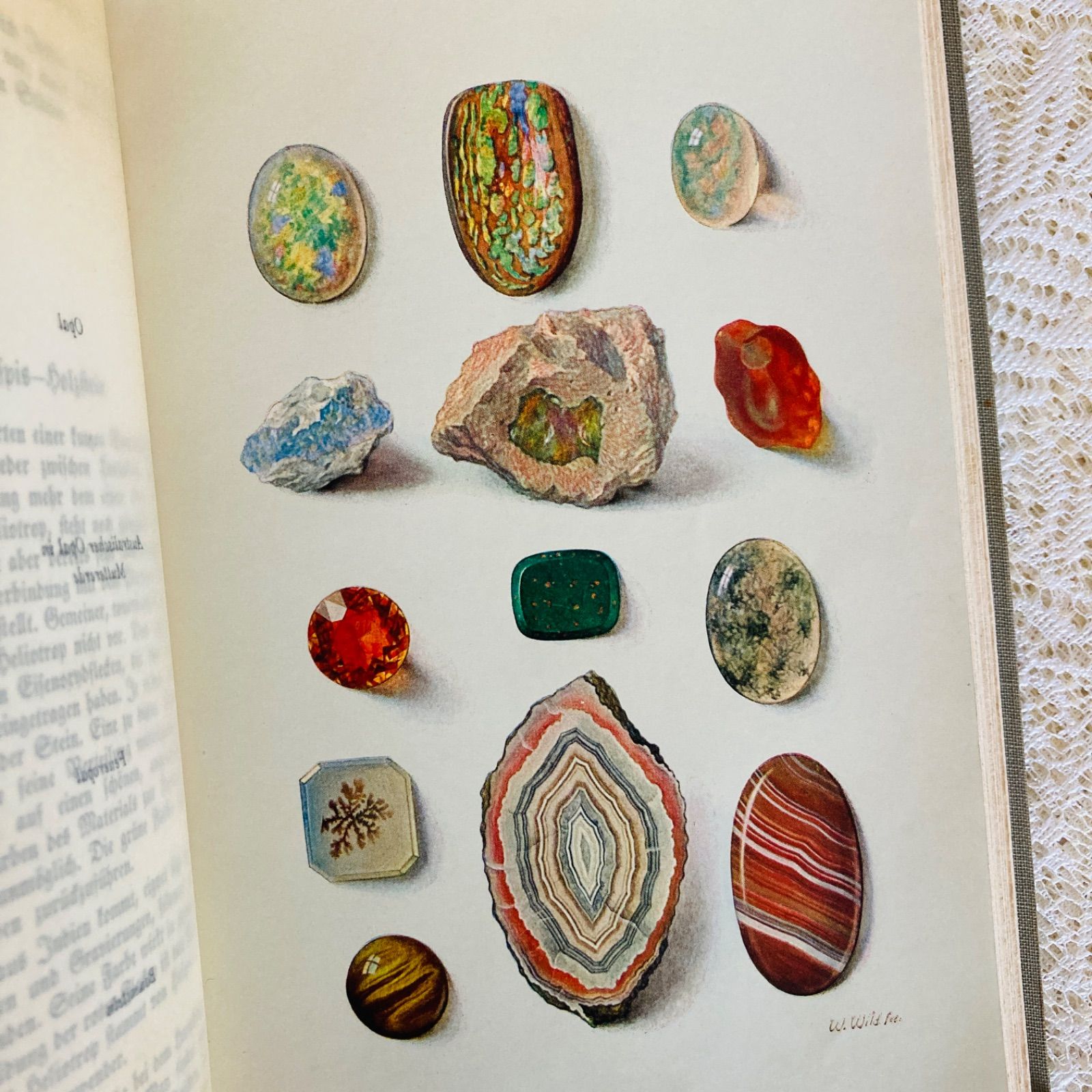 ドイツ・インゼル文庫・Nr. 54・鉱石の図鑑◇鉱物 宝石 洋書・絵本