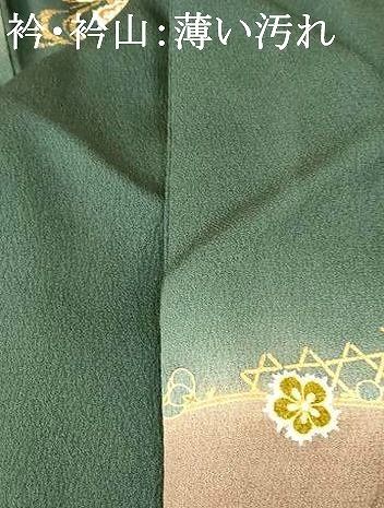 平和屋着物□中国三大刺繍 スワトウ刺繍 汕頭刺繍 訪問着 雪輪枝梅文