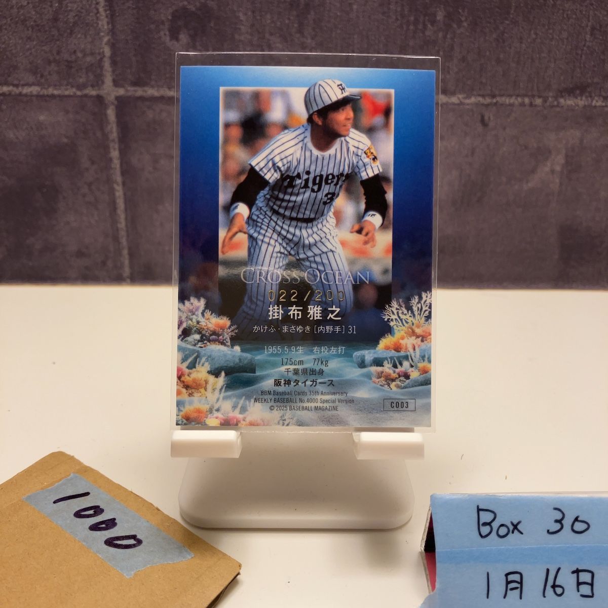 2025 BBM 掛布雅之 022/200 金箔サイン 阪神タイガース Cross Ocean