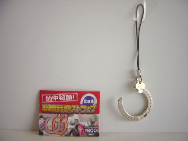 ♯iqi13GD的中祈願!勝馬蹄鉄ストラップ人気1種 - メルカリ