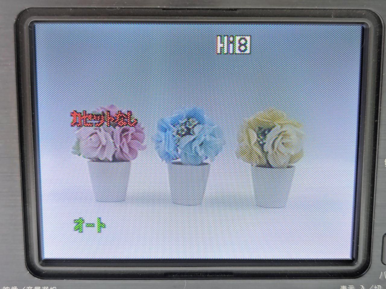 8mmテープのダビングに！ SHARP シャープ ビデオカメラ VL-HL3 7日間