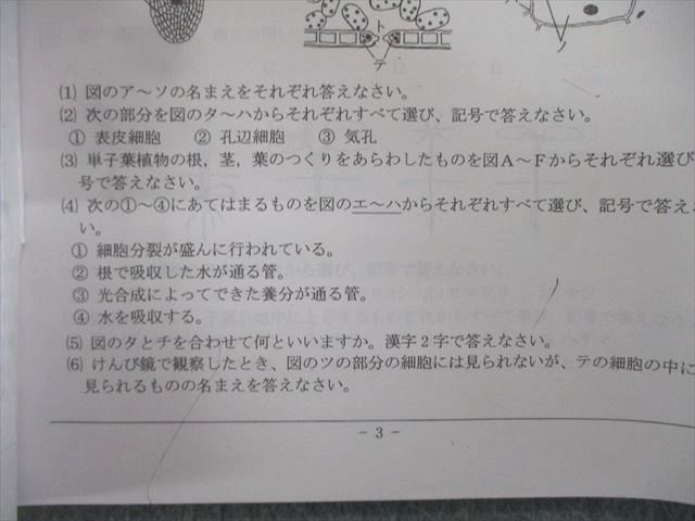 希学園 小6 ベーシックPコース 理科 暗記の完成I/II 【計2回分