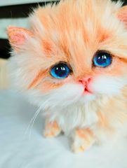 エキゾチックロングヘア子猫ちゃん♡アートドール♡ぬいぐるみ♡大きめ