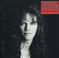 2026年最新】アンディテイラーの人気アイテム - メルカリ