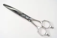 2026年最新】ミズタニシザー アクロの人気アイテム - メルカリ