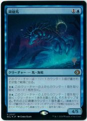 デュエマ/聖なるデュエ夜/Holy Party Night/プロモ/限定/12/25/2025