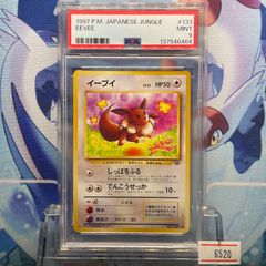 PSA7 ポケパークのアチャモ PCG ポケパークプレミアムファイル