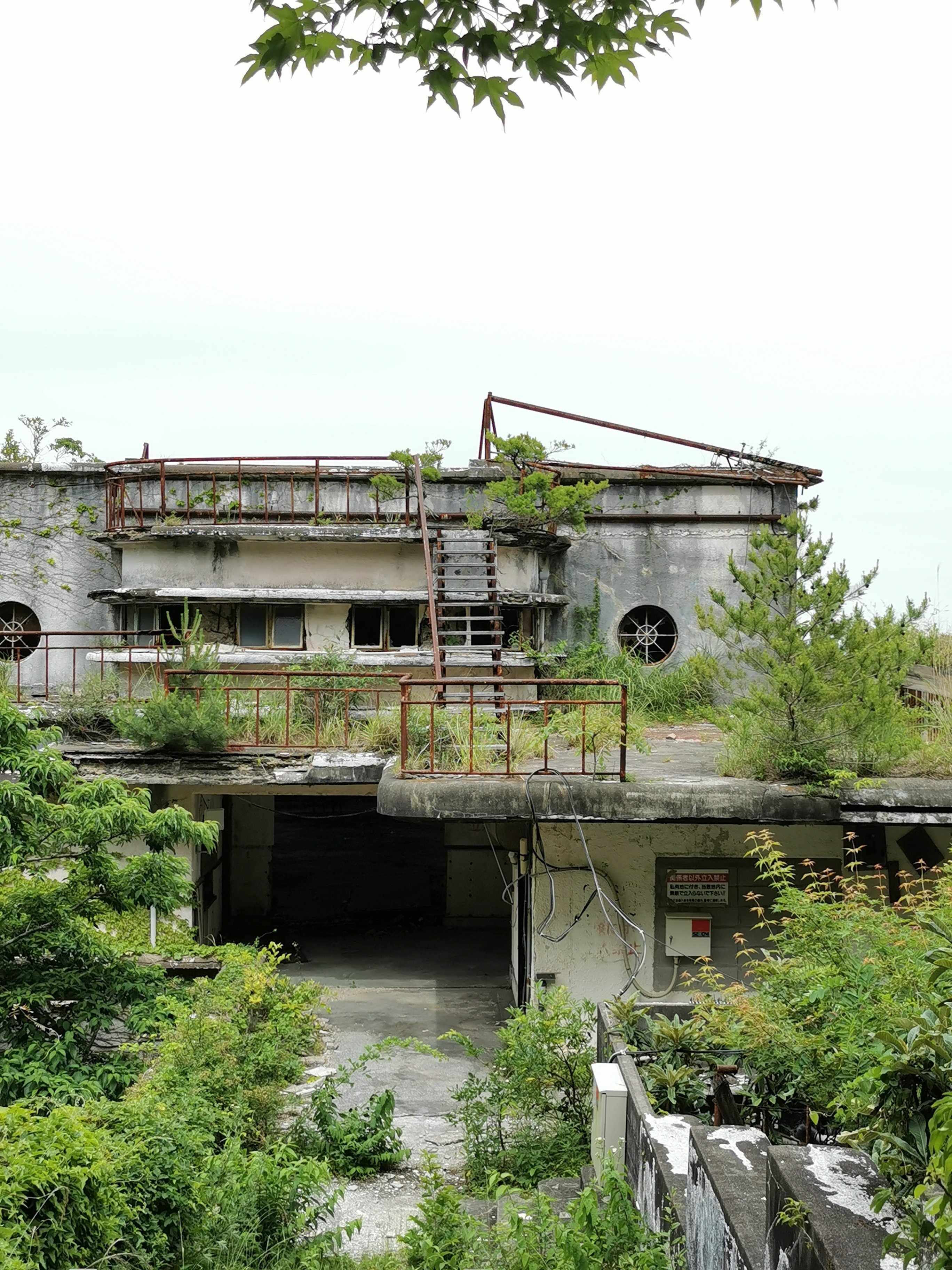 廃墟ホテルを巡る「マヤ遺跡ガイドウォーク」のススメ｜神戸ホテル