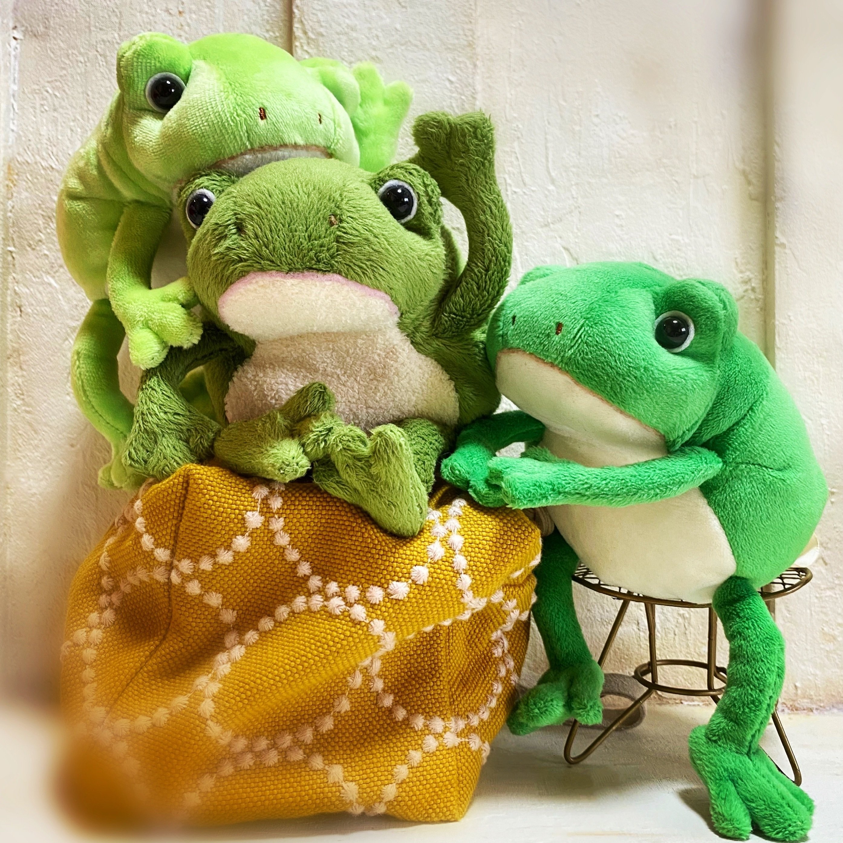 モンスイユさんの「かえるのBUONO」｜みィ