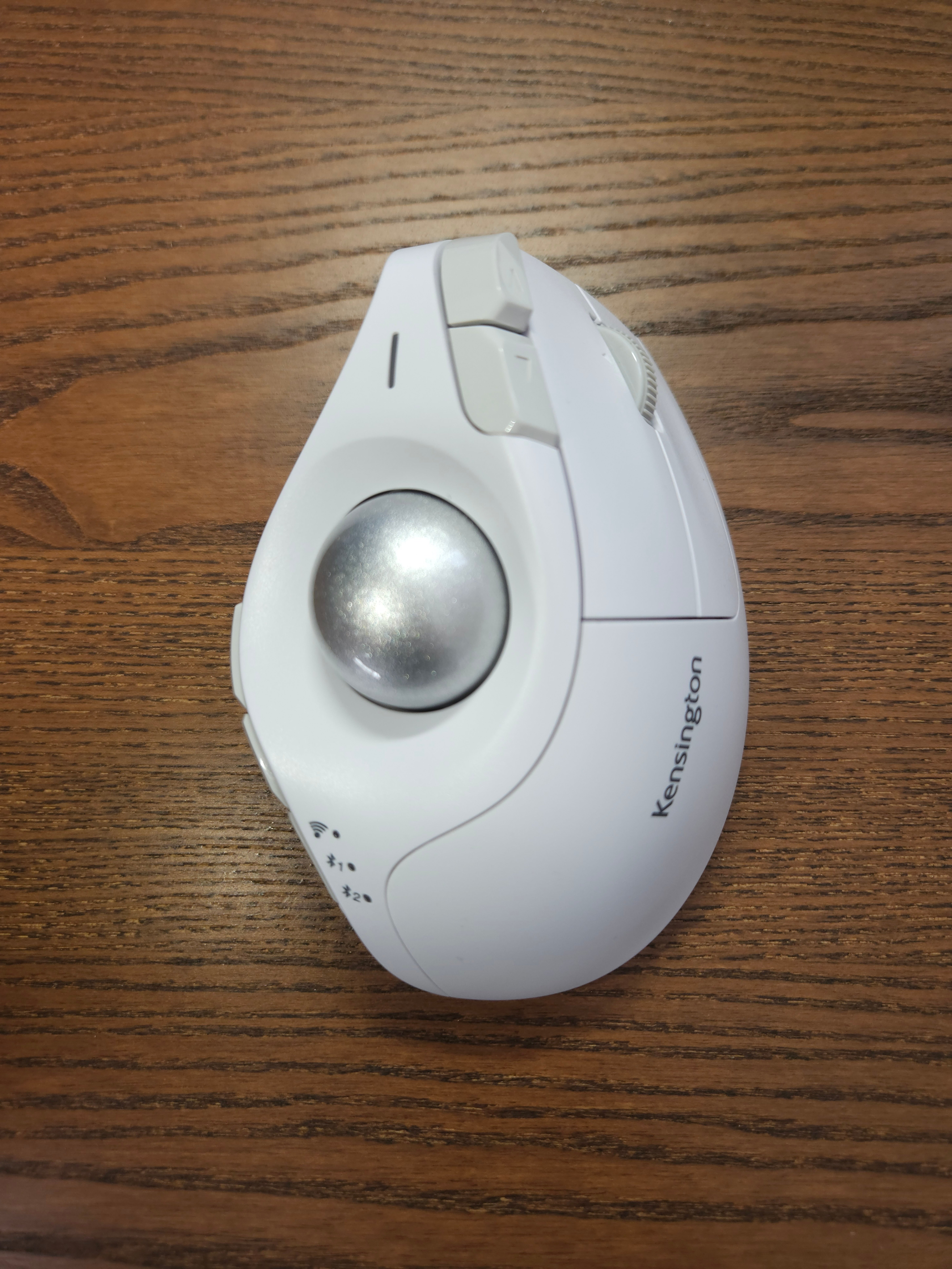 トラックボールが増殖しまくっていたので、紹介してみる｜八石