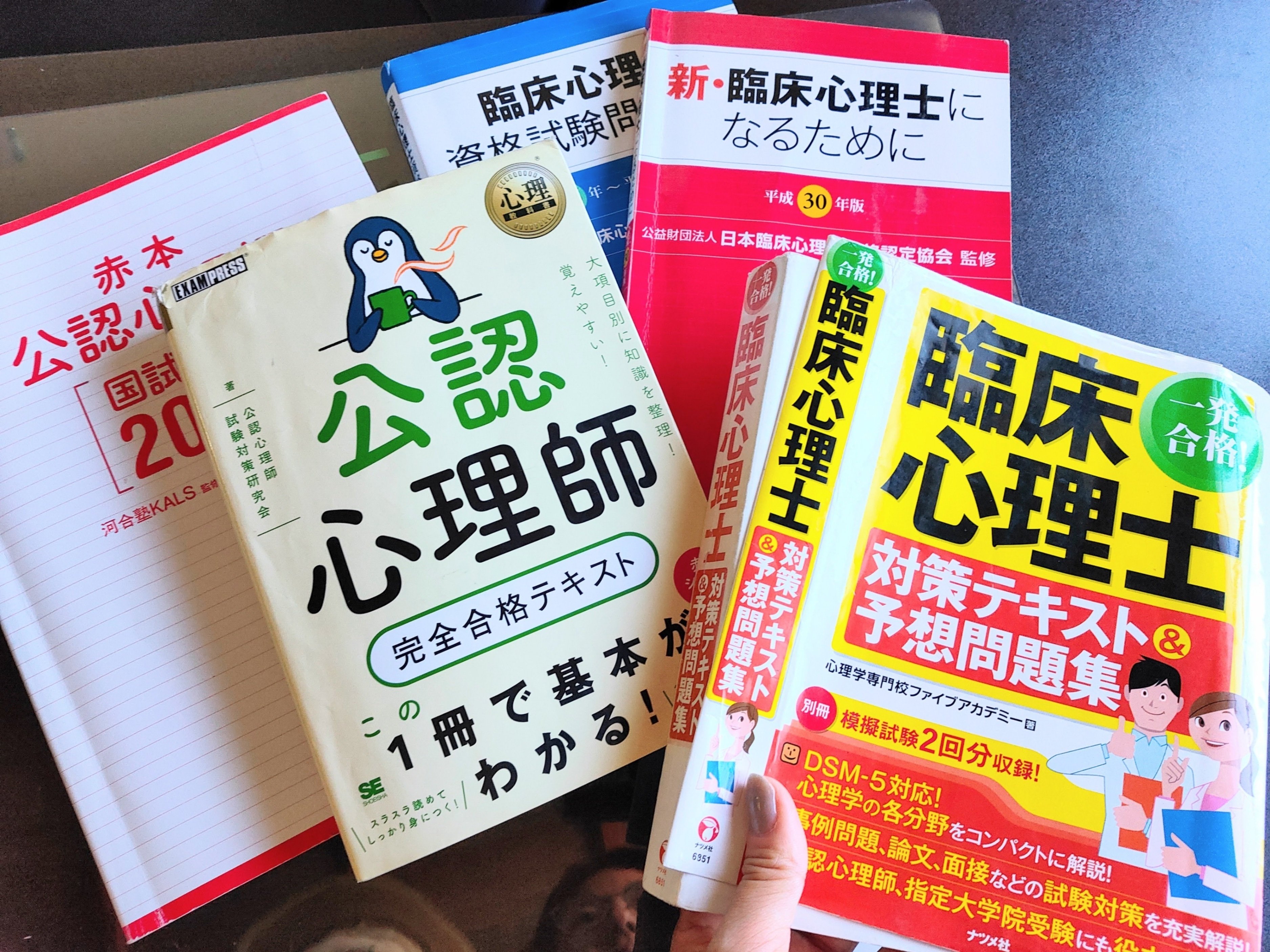 臨床心理士・指定大学院合格のための心理学テキスト20冊セット｜