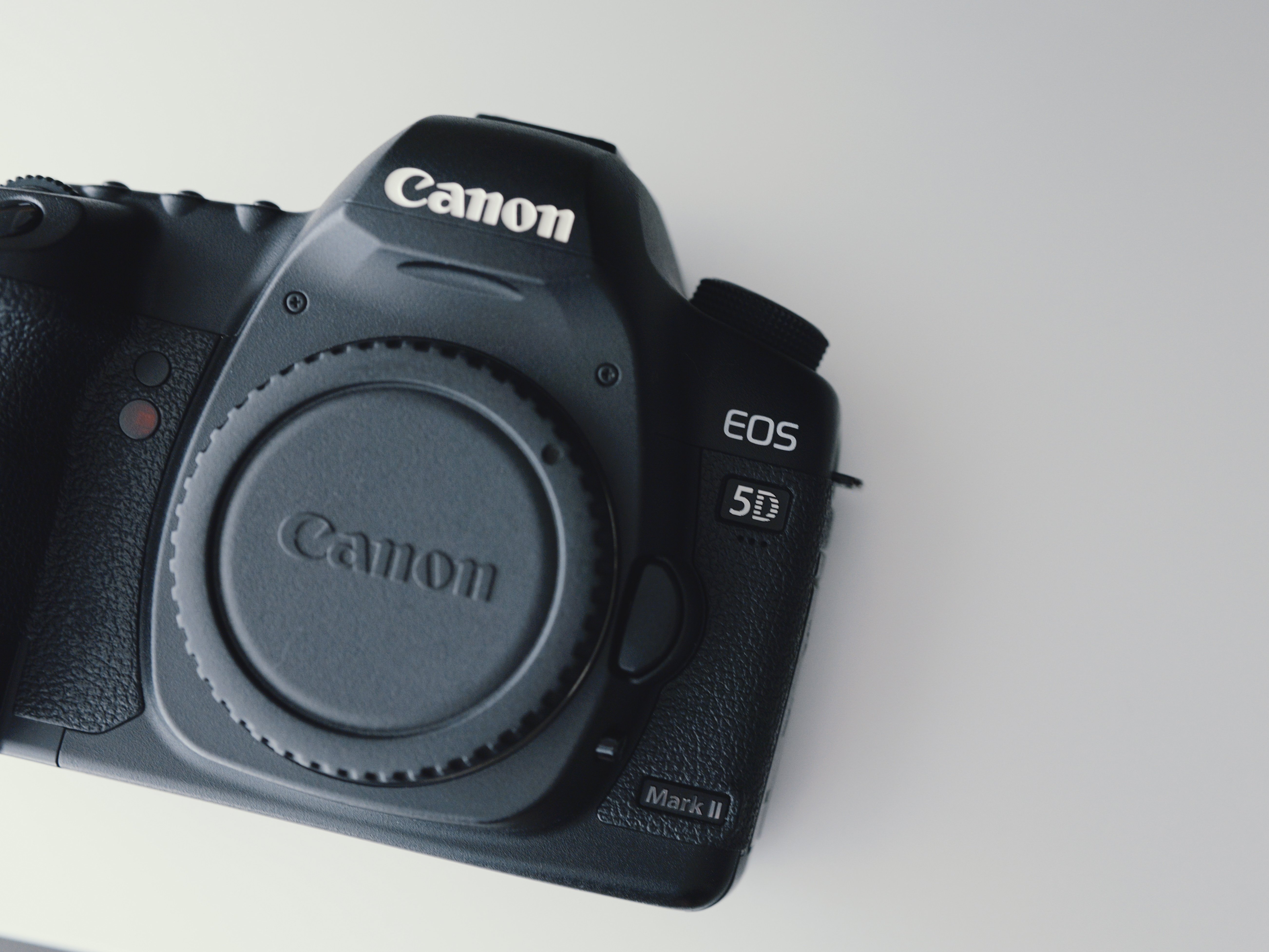 初めての一眼レフ機を購入【Canon EOS 5D markⅡ】：なぜ今このカメラ