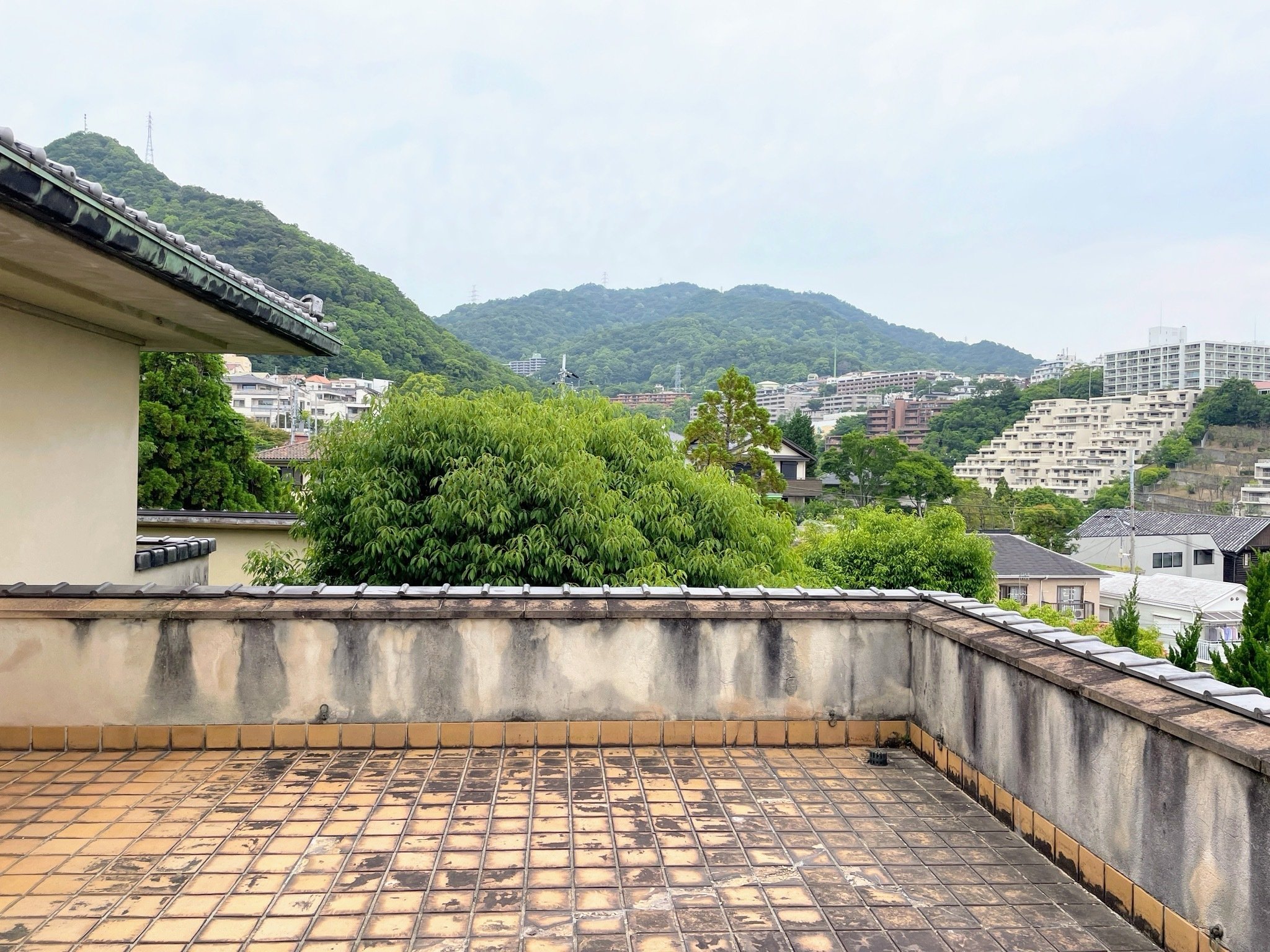 茶入の魅力 －古の美を今に繋ぐ－ ／滴翠美術館｜美術館とお寺と猫