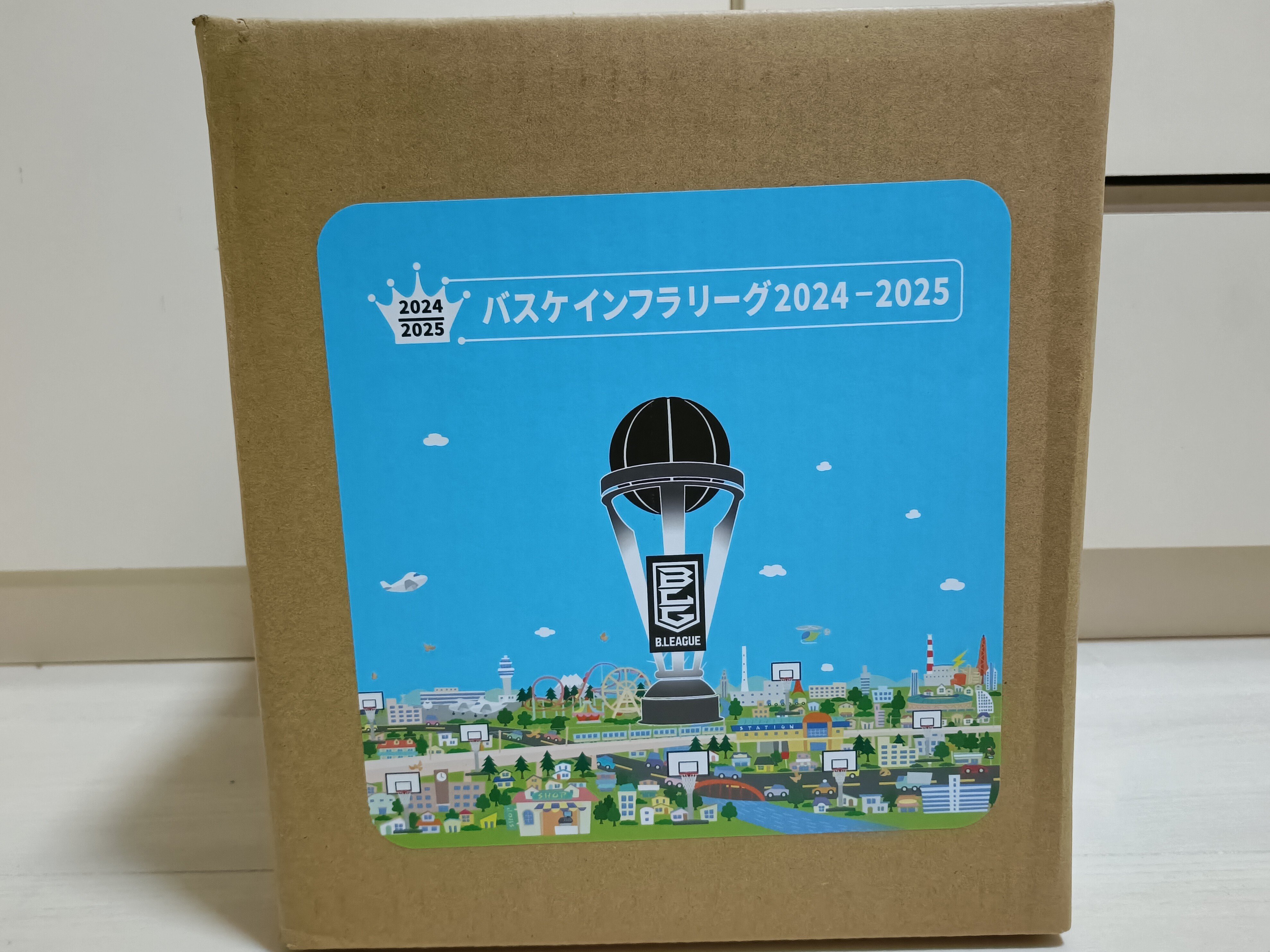 アルティーリ千葉🏀全選手サイン入りボール｜mayu