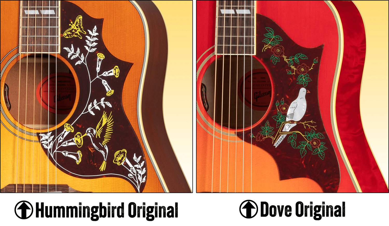 コラム】ギブソン・ハミングバードとダヴの違いについて（知ってて