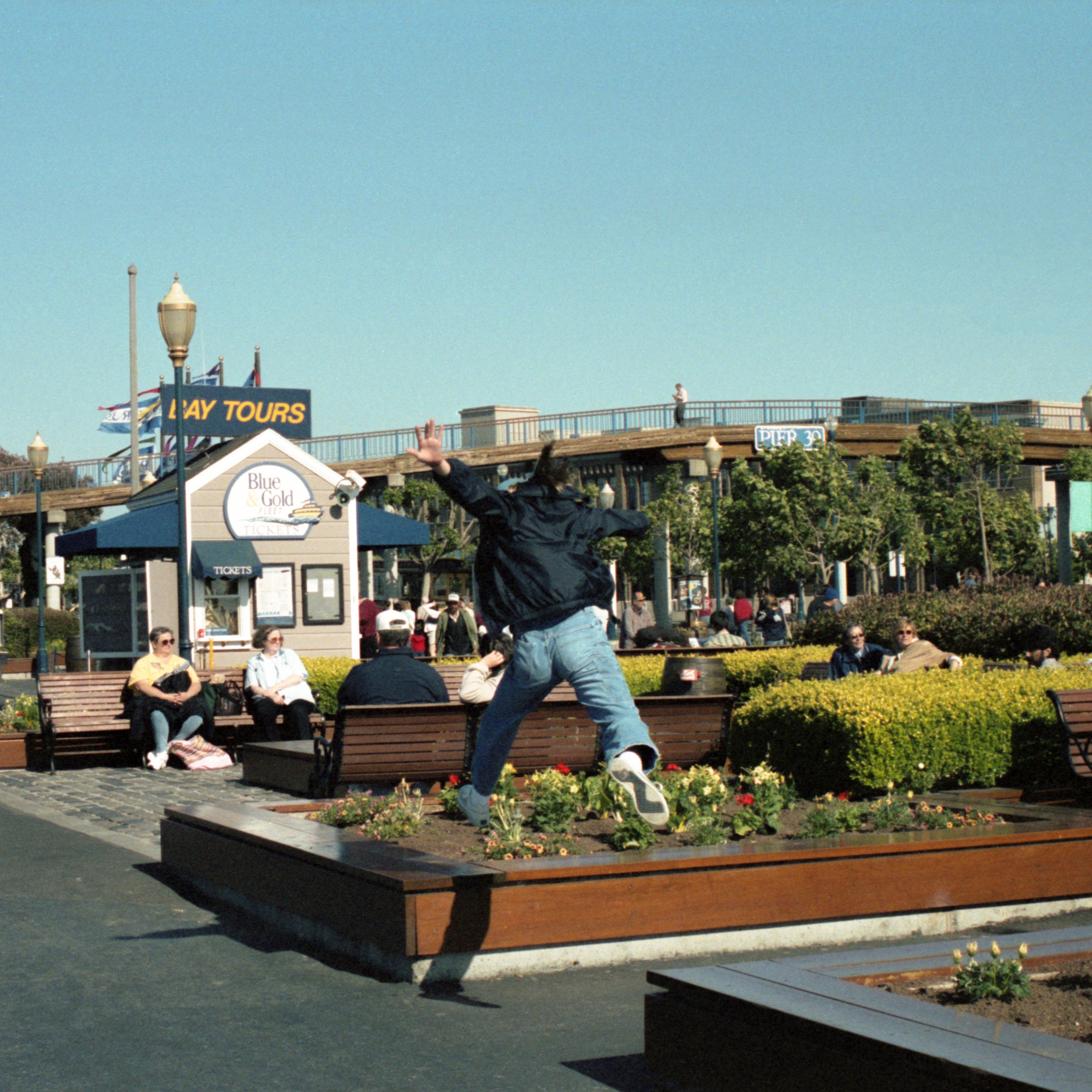 サニーデイ・サービス 『サニービート』｜ROSE RECORDS