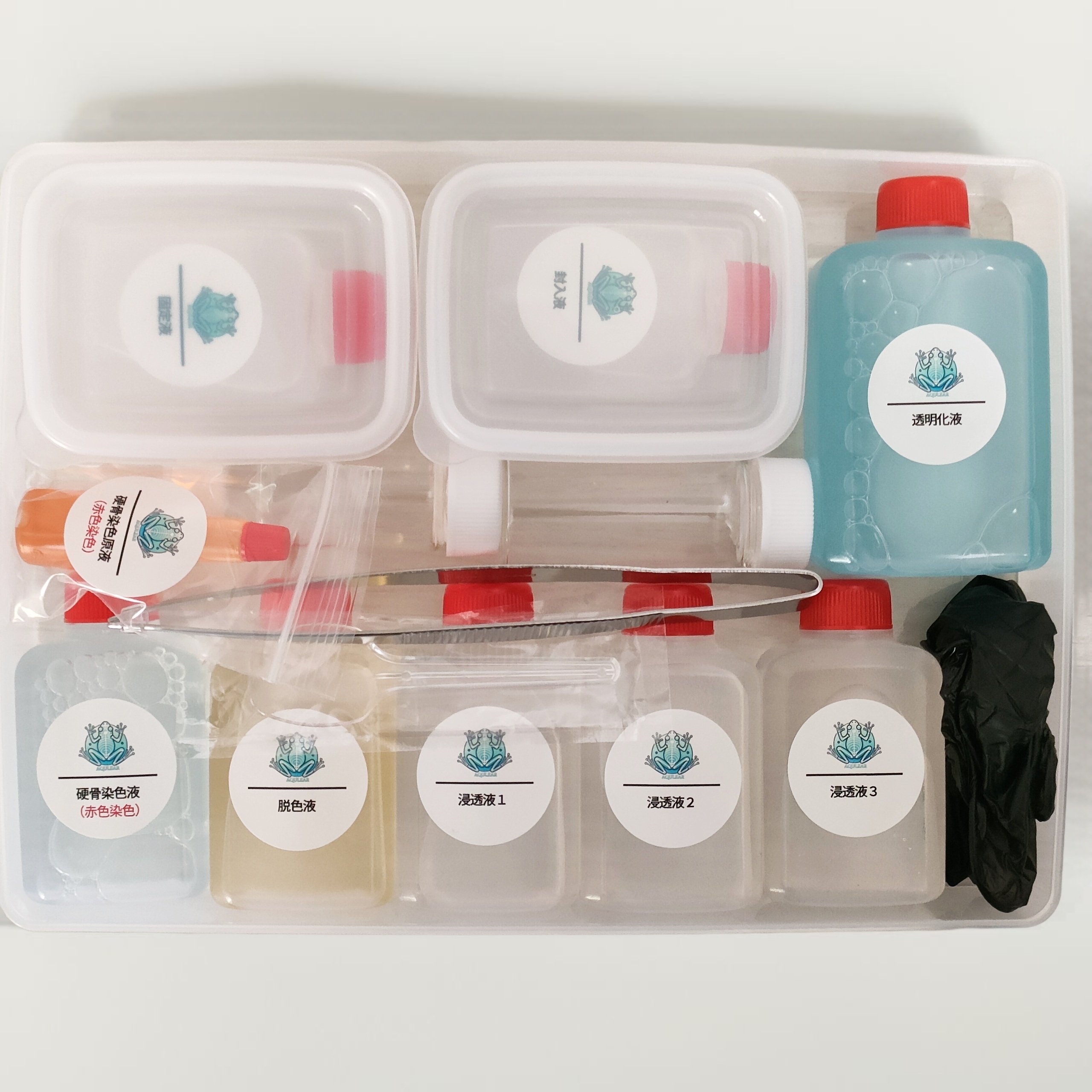 当店オリジナル【透明標本作製キット】（上級）作製マニュアル+補助