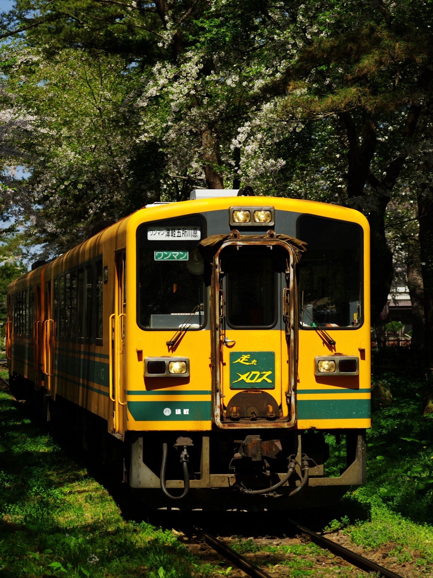 津軽鉄道の『走れメロス号』に乗る ～撮影旅行よもやま話集～｜綺麗な