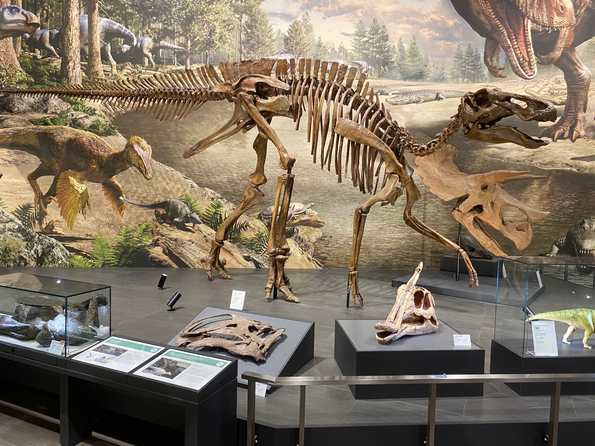 10月3日 長崎市・ベネックス恐竜博物館｜theropodさん