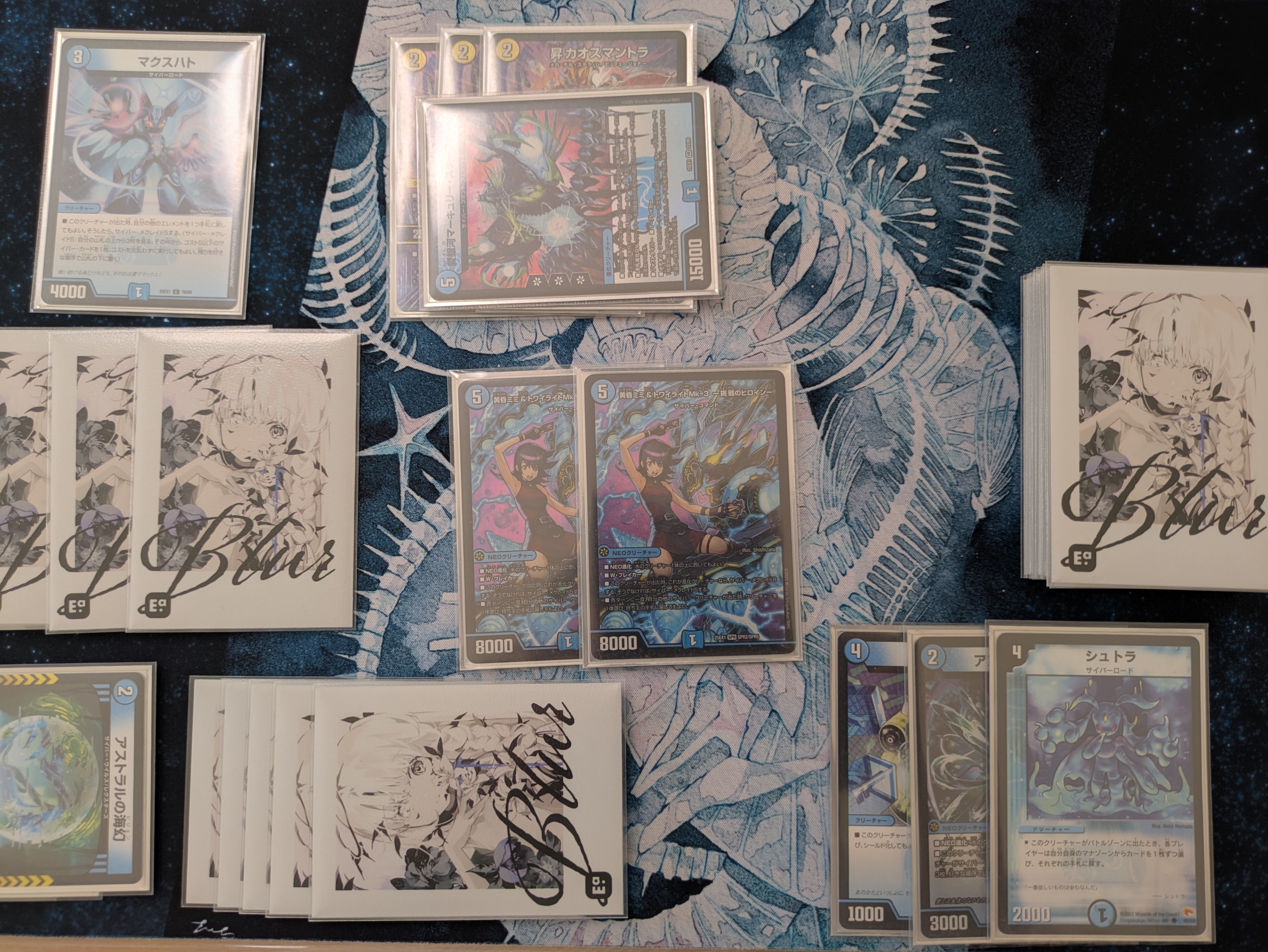 知識ゼロからサイバーを使い始める｜ずかちょん