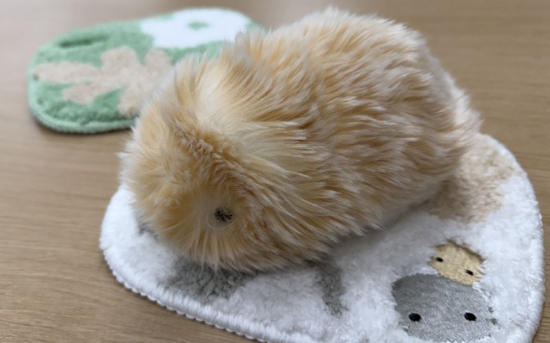 AIペットロボット「Moflin」の初の公式グッズ5種をレビュー！｜カシオ