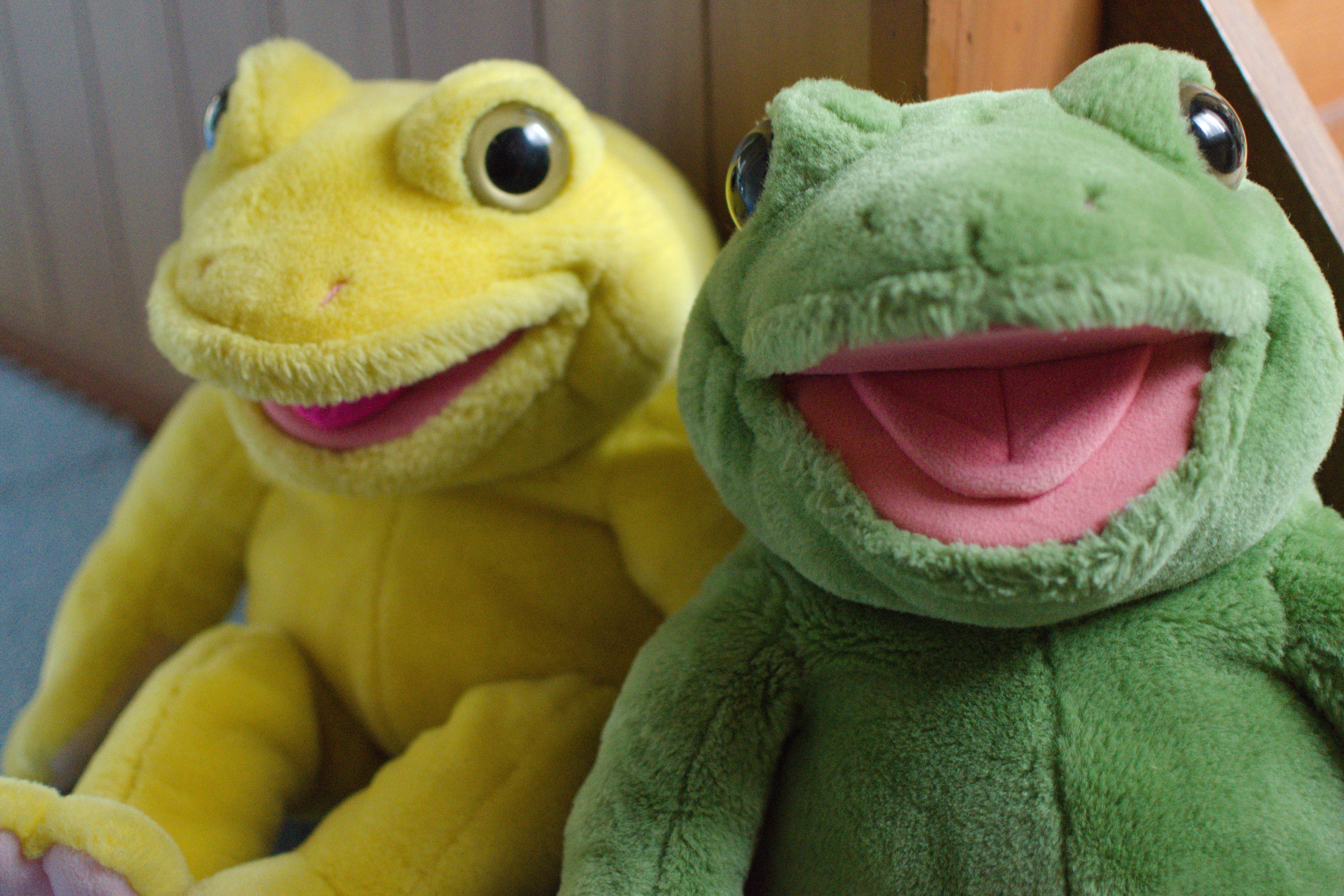 プレイトーキン｜かずい