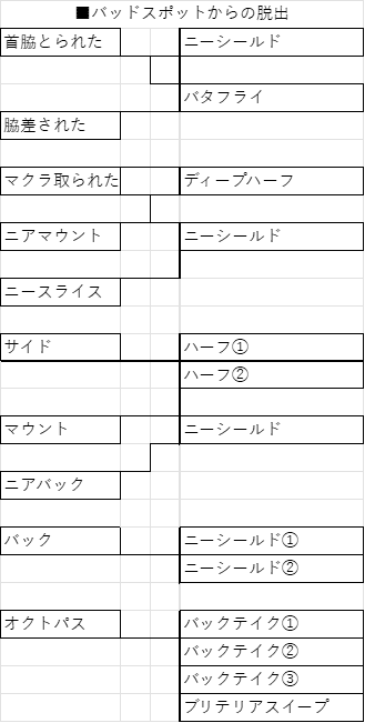 柔術教則レビュー「加古拓渡 Institute of Jiu-jitsu HALF GUARD