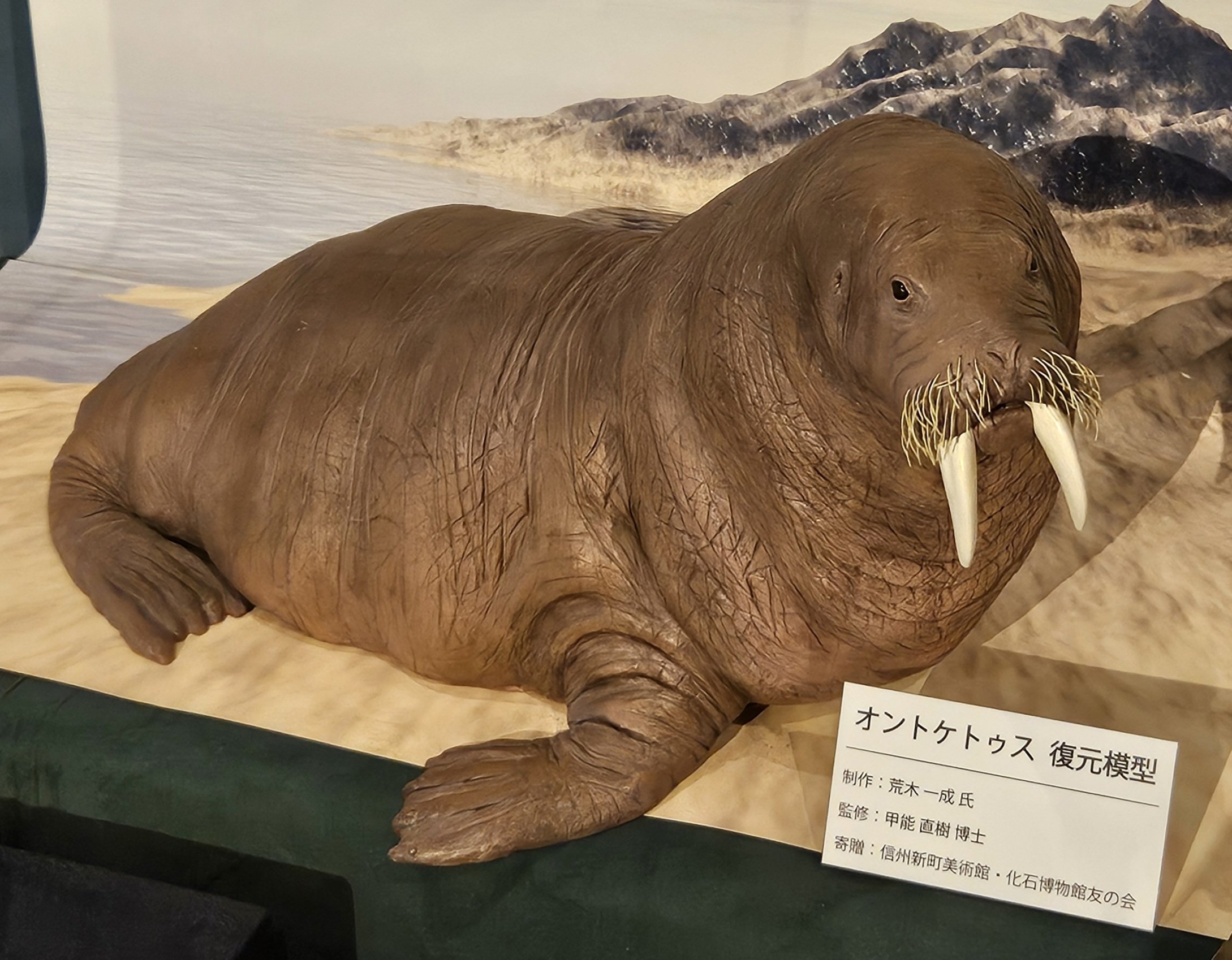 イヌイット民芸品、セイウチ牙の置物、シャチ図案 海象（セイウチ）牙