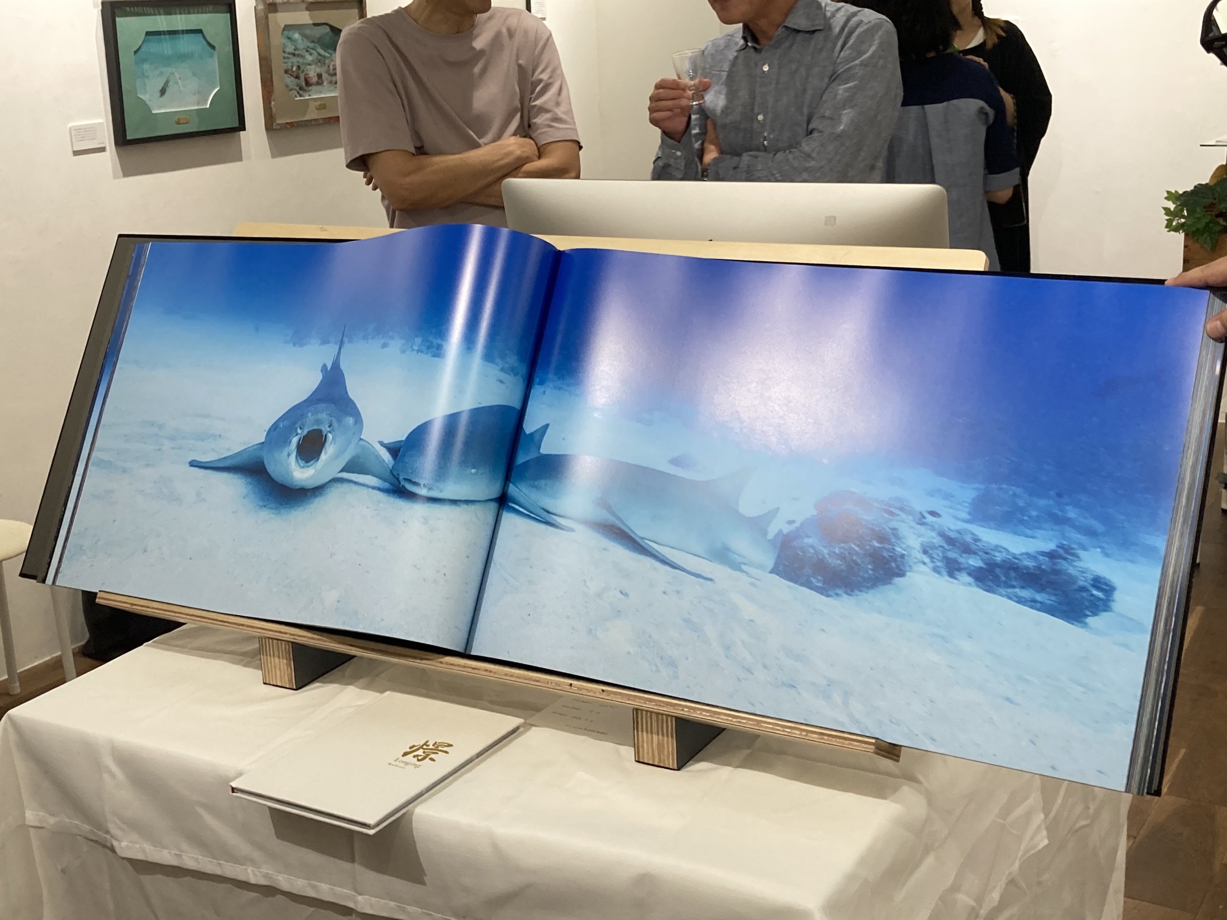 見開き約1メートル40センチ！ 水中写真家・古見きゅうの超大型写真集