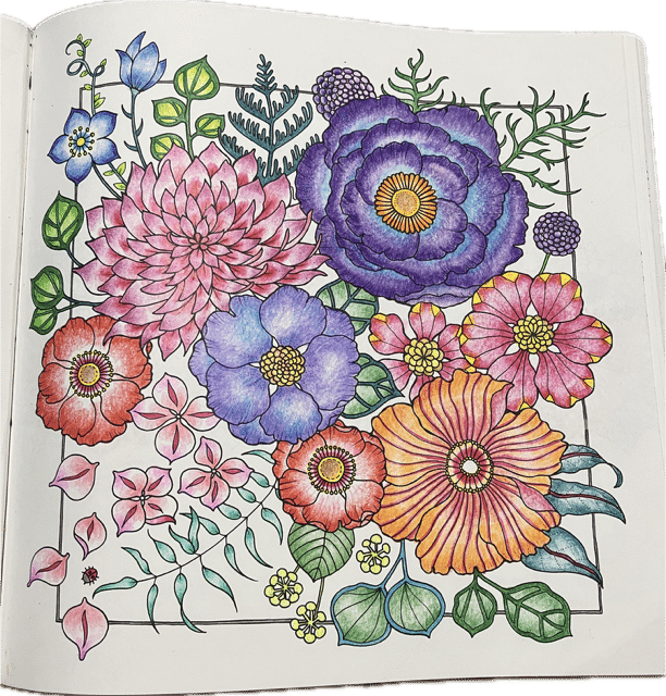 幸せの黄色いハイビスカス(色鉛筆画) 幸せの黄色いハイビスカス(色鉛筆