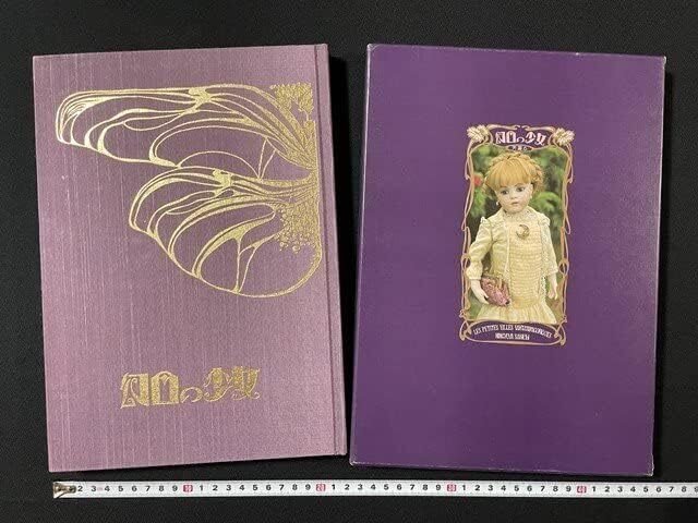 日本的古本屋一直搜尋到的《幻日の少女》到底是什麼書？｜雨下松