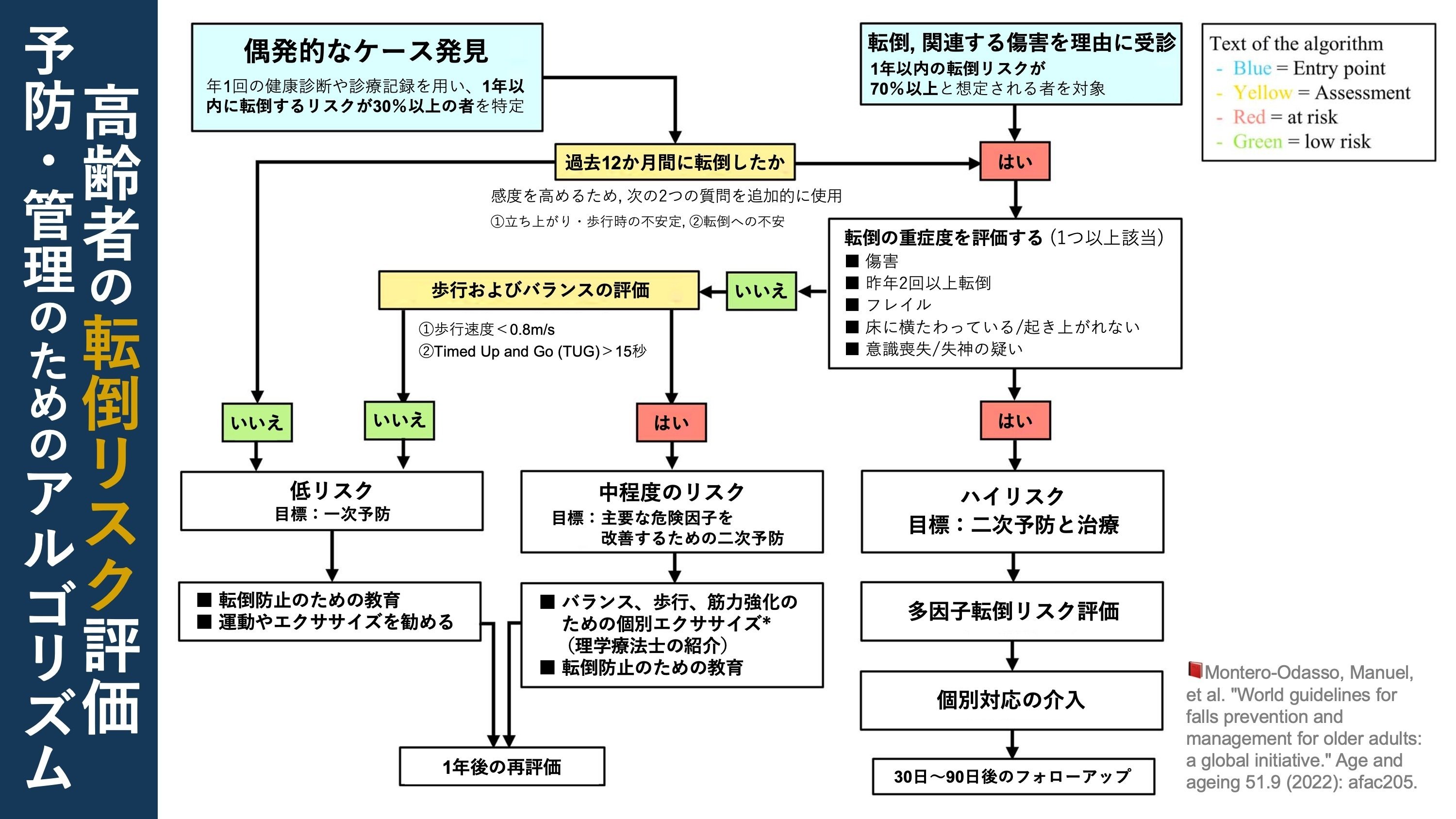高齢者の転倒予防・管理の世界的ガイドライン｜Super Human | 理学療法