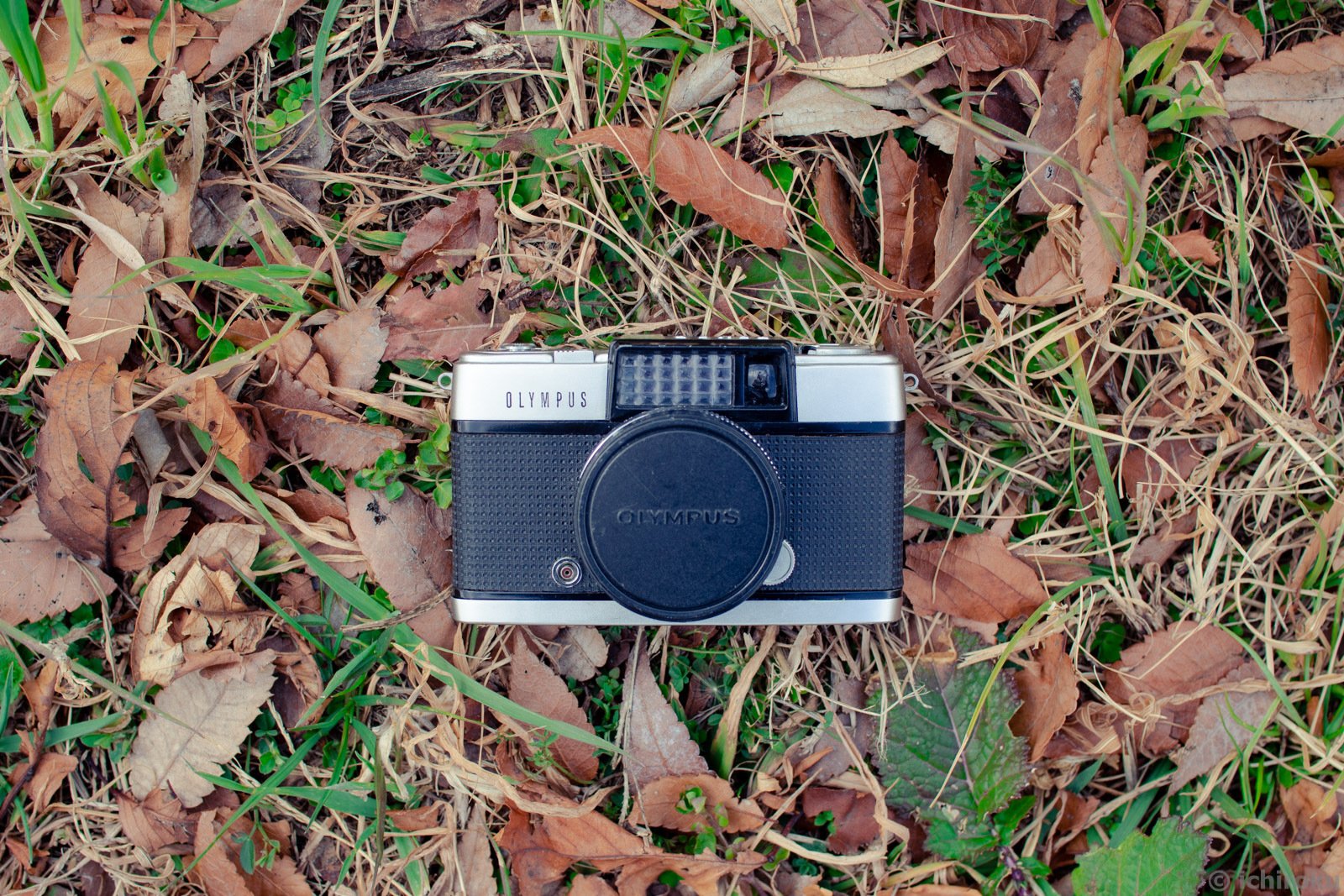 オリンパスPEN-D 〜可愛いけど手強い ハーフサイズフィルムカメラ