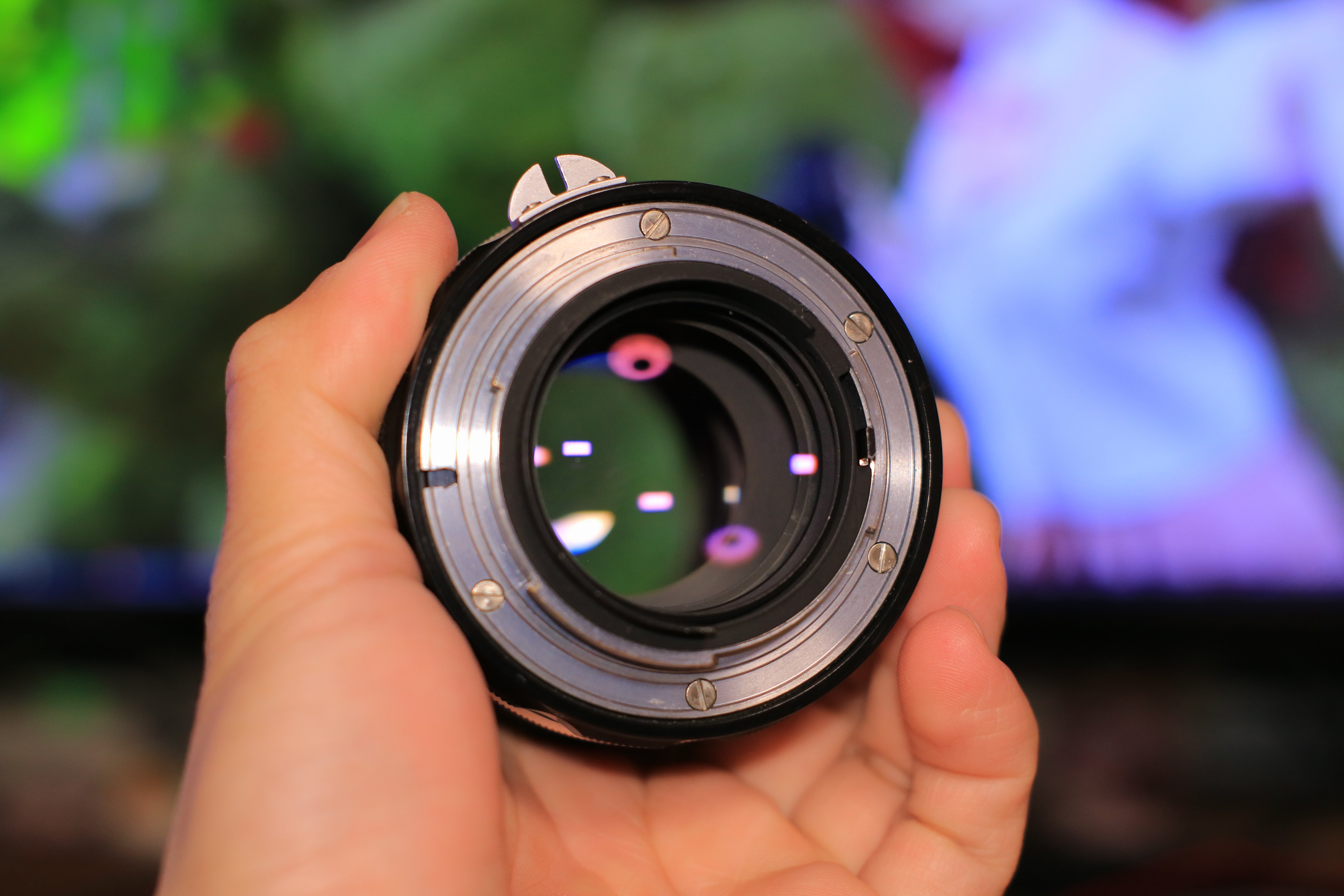 mayuriとレンズぬま *第三十三本* Nikon NIKKOR-P Auto 105mm F2.5｜mayuri