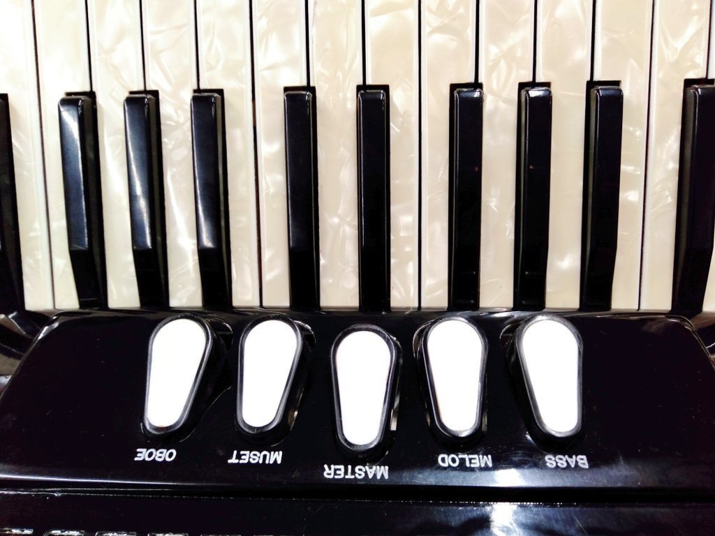 ヴィンテージEXCELSIOR .mod400アコーディオン 41鍵盤マイク内蔵